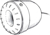 Egg trap