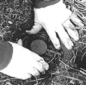 Setting trap